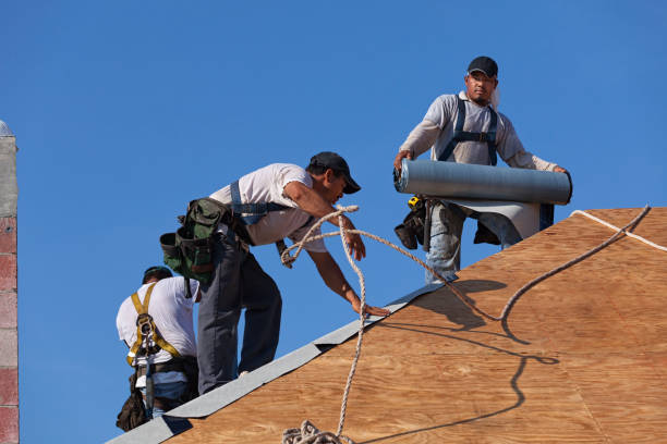 Best Residential Roof Replacement  in Orange Park, FL