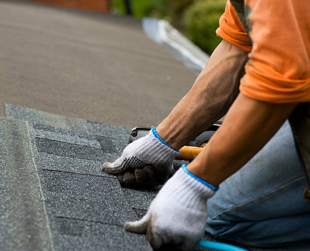 Best Storm Damage Roof Repair  in Orange Park, FL